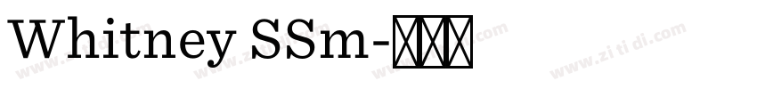 Whitney SSm字体转换